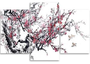 Obraz na plátne Japonské čerešňové kvety - 3 dielny Rozmery: 60 x 40 cm