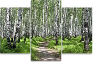 Obraz na plátne Brezový les - 3 dielny Rozmery: 60 x 40 cm