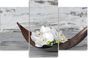 Obraz na plátne Biele kvety orchidey - 3 dielny Rozmery: 60 x 40 cm