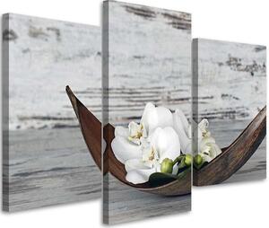 Obraz na plátne Biele kvety orchidey - 3 dielny Rozmery: 60 x 40 cm