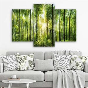 Obraz na plátne Slnečné lúče v zelenom lese - 3 dielny Rozmery: 60 x 40 cm
