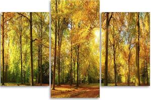 Obraz na plátne Jeseň v lese - 3 dielny Rozmery: 60 x 40 cm