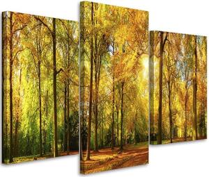Obraz na plátne Jeseň v lese - 3 dielny Rozmery: 60 x 40 cm