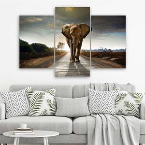 Obraz na plátne Putovanie slona na ceste - 3 dielny Rozmery: 60 x 40 cm