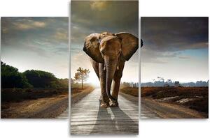Obraz na plátne Putovanie slona na ceste - 3 dielny Rozmery: 60 x 40 cm