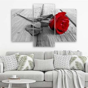 Obraz na plátne Červená ruža - 3 dielny Rozmery: 60 x 40 cm