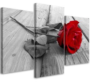 Obraz na plátne Červená ruža - 3 dielny Rozmery: 60 x 40 cm