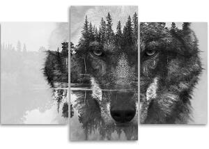 Obraz na plátne Čierny vlk abstraktný - 3 dielny Rozmery: 60 x 40 cm