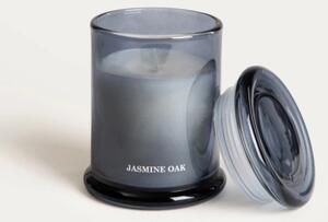 Sviečka ESTER Jasmine Oak 786792