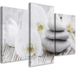 Obraz na plátne Biela orchidea a kamene - 3 dielny Rozmery: 60 x 40 cm
