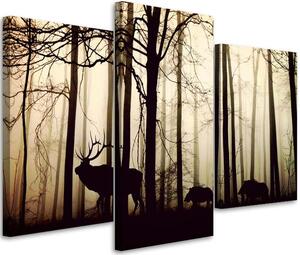 Obraz na plátne Lesné zvieratá - 3 dielny Rozmery: 60 x 40 cm