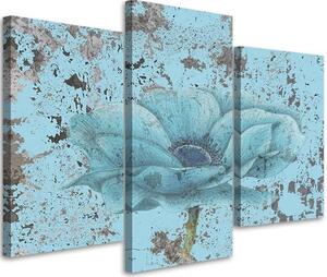 Obraz Morský kvet retro - 3 dielny Rozmery: 90 x 60 cm, Prevedenie: Obraz na plátne