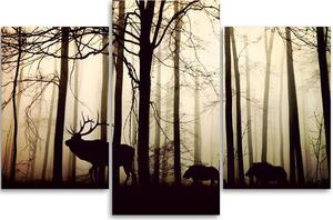 Obraz na plátne Lesné zvieratá - 3 dielny Rozmery: 60 x 40 cm