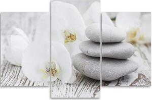 Obraz na plátne Biela orchidea a kamene - 3 dielny Rozmery: 60 x 40 cm