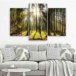 Obraz na plátne Slnečný deň v lese - 3 dielny Rozmery: 60 x 40 cm