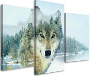 Obraz na plátne Vlk na pozadí hory - 3 dielny Rozmery: 60 x 40 cm
