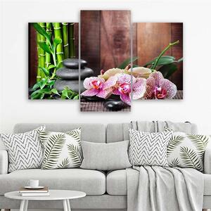 Obraz na plátne Orchidea, bambus a kamene - 3 dielny Rozmery: 60 x 40 cm