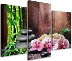 Obraz na plátne Orchidea, bambus a kamene - 3 dielny Rozmery: 60 x 40 cm