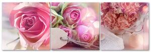 Sada obrazov na plátne 3 ružové ruže - 3 dielna Rozmery: 90 x 30 cm
