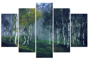 Obraz na plátne Brezy v hmle - 5 dielny Rozmery: 100 x 70 cm
