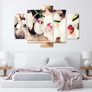 Obraz na plátne Biela orchidea a kamene - 5 dielny Rozmery: 100 x 70 cm