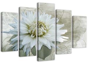 Obraz na plátne Biely kvet - 5 dielny Rozmery: 100 x 70 cm