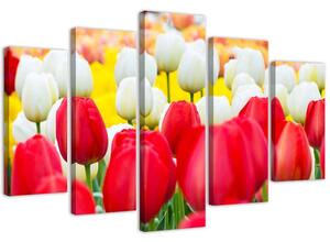 Gario Obraz Biele a červené tulipány Veľkosť: 150 x 100 cm, Prevedenie: Obraz na plátne
