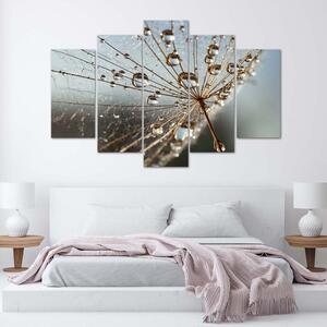 Obraz na plátne Kvapky rosy a pavučina - 5 dielny Rozmery: 100 x 70 cm