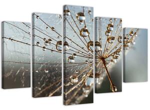 Obraz na plátne Kvapky rosy a pavučina - 5 dielny Rozmery: 100 x 70 cm
