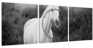 Obraz bieleho koňa na lúke, čiernobiela (s hodinami) (90x30 cm)