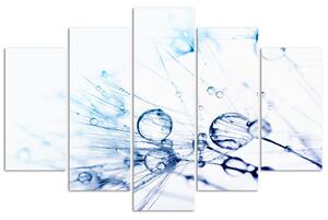 Obraz na plátne Kvapky vody na féne - 5 dielny Rozmery: 100 x 70 cm