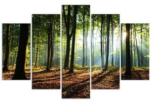 Obraz na plátne Slnečné lúče v lese - 5 dielny Rozmery: 100 x 70 cm