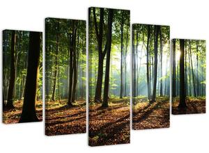 Obraz na plátne Slnečné lúče v lese - 5 dielny Rozmery: 100 x 70 cm