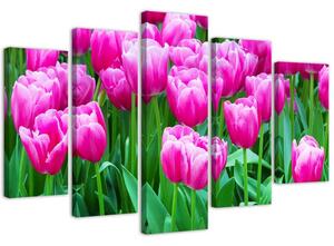 Obraz na plátne Ružové tulipány - 5 dielny Rozmery: 100 x 70 cm