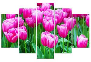 Obraz na plátne Ružové tulipány - 5 dielny Rozmery: 100 x 70 cm