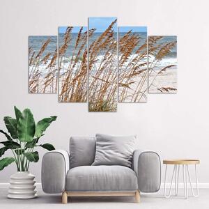 Obraz na plátne Tŕstie pri mori - 5 dielny Rozmery: 100 x 70 cm