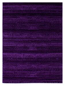 Ayyildiz koberce AKCIA: 80x150 cm Kusový koberec Plus 8000 lila - 80x150 cm