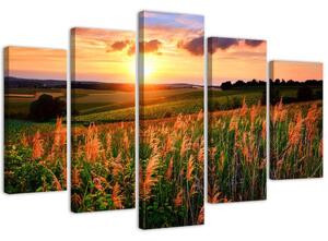 Obraz na plátne Západ slnka nad lúkou - 5 dielny Rozmery: 100 x 70 cm