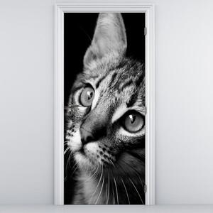 Fototapeta na dvere - Mačička (95x205cm)