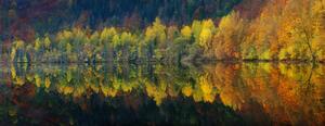 Umelecká fotografie Autumnal silence, Burger Jochen, (60 x 23.2 cm)