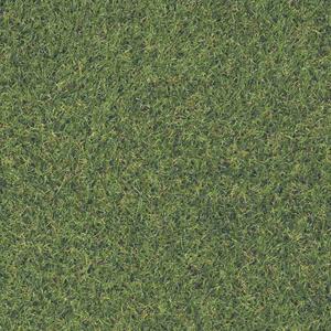 Trávový koberec Rasen zelená, Šírka (m) 2.00