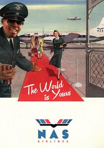 Umelecká tlač Nas Airlines, Ads Libitum / David Redon, (30 x 40 cm)