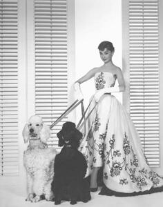 Umelecká fotografie Audrey Hepburn, (30 x 40 cm)