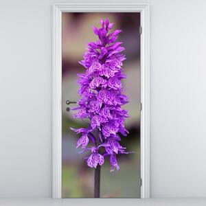 Fototapeta na dvere - Orchidea (95x205cm)