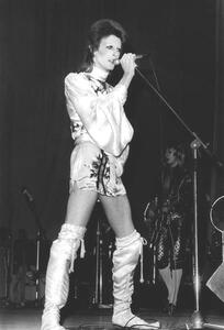 Umelecká fotografie David Bowie on Stage (Ziggy Stardust Tour) 1973, (26.7 x 40 cm)