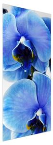 Fototapeta na dvere - Modrý kvet (95x205cm)