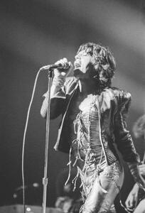 Fotografia Rolling Stones, 1973