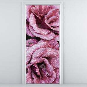Fototapeta na dvere - Rosa na ružiach (95x205cm)