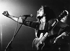 Umelecká fotografie Bob Marley, (40 x 30 cm)