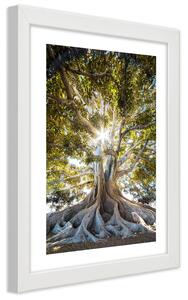 Gario Plagát Veľký exotický strom Farba rámu: Biela, Veľkosť: 20 x 30 cm
